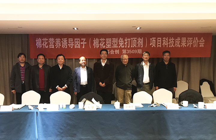 棉花塑型剂和打顶剂 anli.jpg